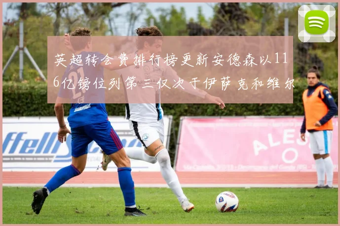 英超转会费排行榜更新安德森以116亿镑位列第三仅次于伊萨克和维尔茨