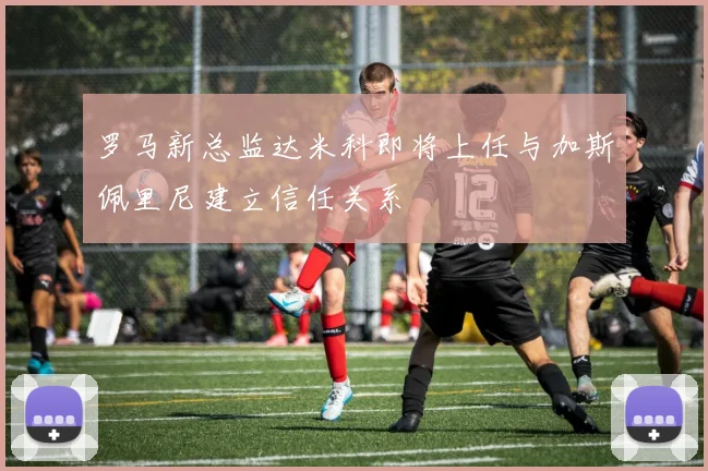 罗马新总监达米科即将上任与加斯佩里尼建立信任关系