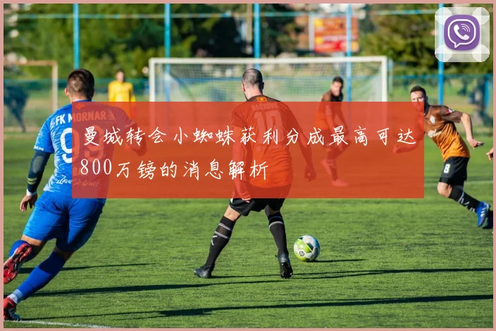 曼城转会小蜘蛛获利分成最高可达800万镑的消息解析