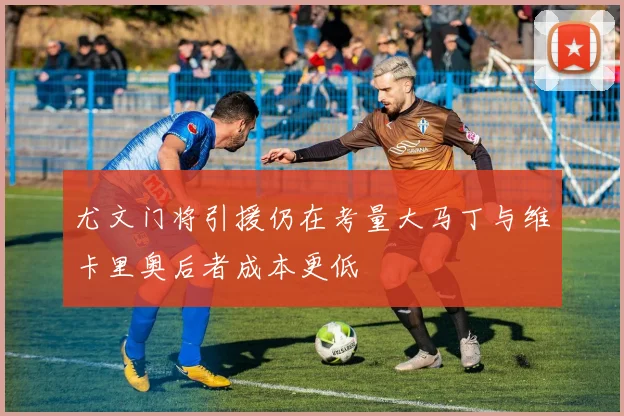 尤文门将引援仍在考量大马丁与维卡里奥后者成本更低