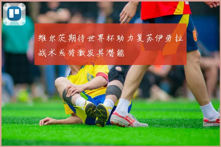 维尔茨期待世界杯助力复苏伊劳拉战术或将激发其潜能